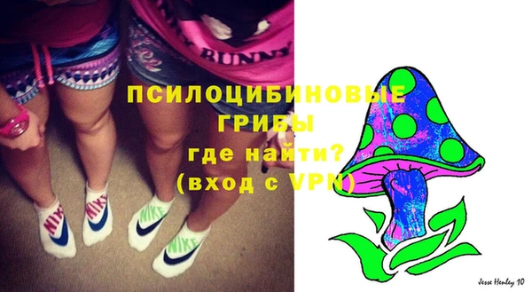 apvp Богданович