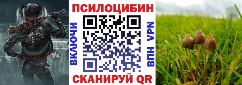 Псилоцибиновые грибы Magic Shrooms  Феодосия 